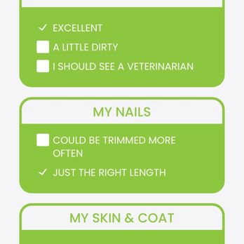 Bubbly Paws - Pet Groomers Near Me - Vancouver, Washington