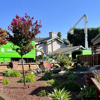 Bunyon Bros. Tree Service - Tree Services Near Me Bunyon Bros. Tree Service - Tree Services Near Me