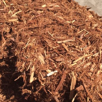 San Diego Mulch - Close up of Gorilla Hair - Nurseries & Gardening Near Me - San Diego, California San Diego Mulch - Close up of Gorilla Hair - Nurseries & Gardening Near Me - San Diego, California