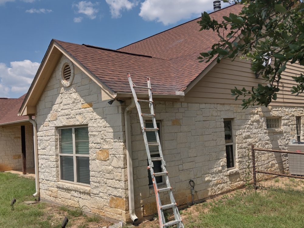 Slide of The Roof Goose