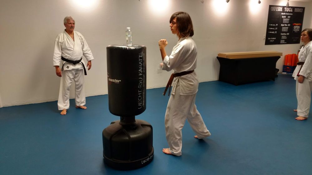 AZ Uechi-Ryu Karate Logo