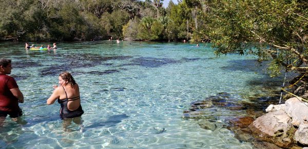 Silver Glen Springs 5271 N Highway 19 Fort Mc Coy Fl Boats Excursions Mapquest