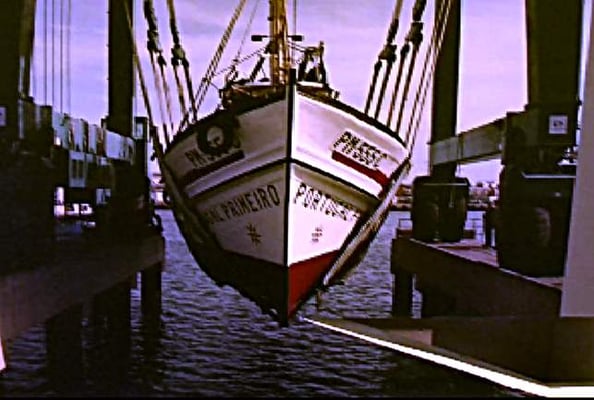 Museu de Portimão by null