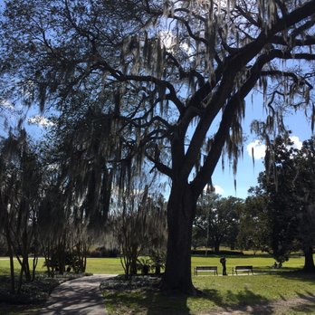 Audubon Park - More beautiful trees in this lovely park! - Parks Near Me - New Orleans, Louisiana Audubon Park - More beautiful trees in this lovely park! - Parks Near Me - New Orleans, Louisiana