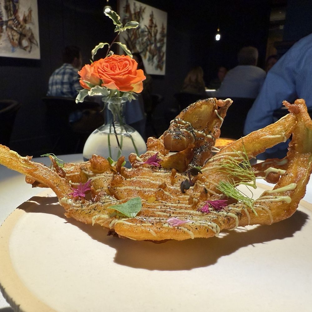 Table Culture Provisions - Fennel crisp - New American Near Me - Petaluma, California Table Culture Provisions - Fennel crisp - New American Near Me - Petaluma, California