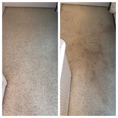Before and After - Before / After Brooklyn Carpet Cleaning Before and After - Before / After Brooklyn Carpet Cleaning
