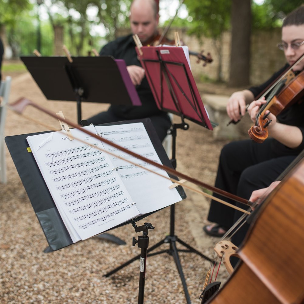 Terra Vista Strings - Photo by Shanna Leigh Images - Performing Arts Near Me Terra Vista Strings - Photo by Shanna Leigh Images - Performing Arts Near Me
