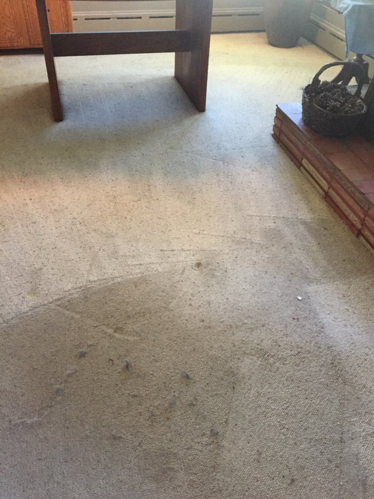 DIAMOND CARPET CARE Updated September 2024 2536 Rimrock Ave, Grand Junction, Colorado