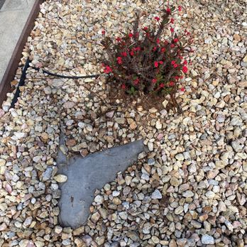 AM Landscape Construction - Landscaping Near Me - San Diego, California AM Landscape Construction - Landscaping Near Me - San Diego, California