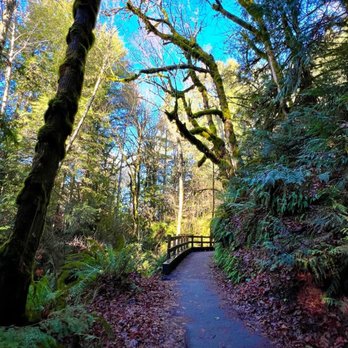 Madison Falls - Views along the short, paved trail up to the falls - Landmarks & Historical Buildings Near Me - Port Angeles, Washington Madison Falls - Views along the short, paved trail up to the falls - Landmarks & Historical Buildings Near Me - Port Angeles, Washington