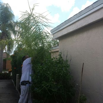 University Painters - Priming the house - Painters Near Me University Painters - Priming the house - Painters Near Me