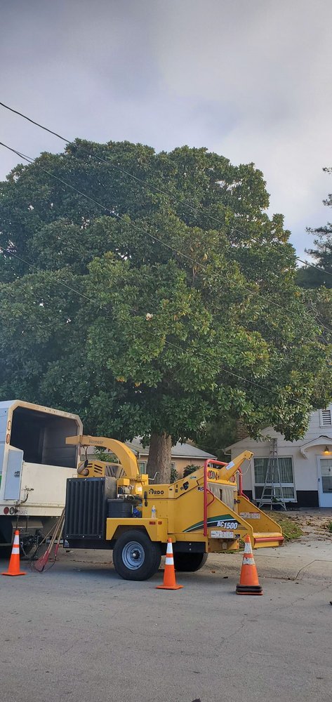 HERNANDEZ TREE SERVICE - 54 Photos & 24 Reviews - Tree Services - 1551 ...