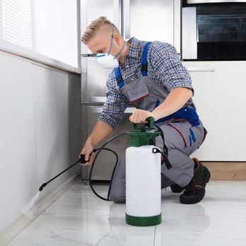 Express Pest Services - Pest Control Near Me - Meeker, Oklahoma Express Pest Services - Pest Control Near Me - Meeker, Oklahoma