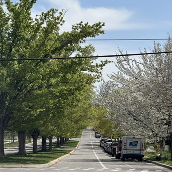 District Coffee - A perfect blooming spring, makes a walk to District Coffee pretty amazing! - Coffee & Tea Near Me - Salt Lake City, Utah District Coffee - A perfect blooming spring, makes a walk to District Coffee pretty amazing! - Coffee & Tea Near Me - Salt Lake City, Utah