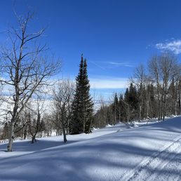Views from the trails