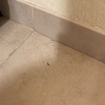 Residence Inn Charlotte Concord - Bathroom floor when I arrived to my room. Notice the dark hairs? My family is all blonde. - Hotels Near Me - Concord, North Carolina Residence Inn Charlotte Concord - Bathroom floor when I arrived to my room. Notice the dark hairs? My family is all blonde. - Hotels Near Me - Concord, North Carolina