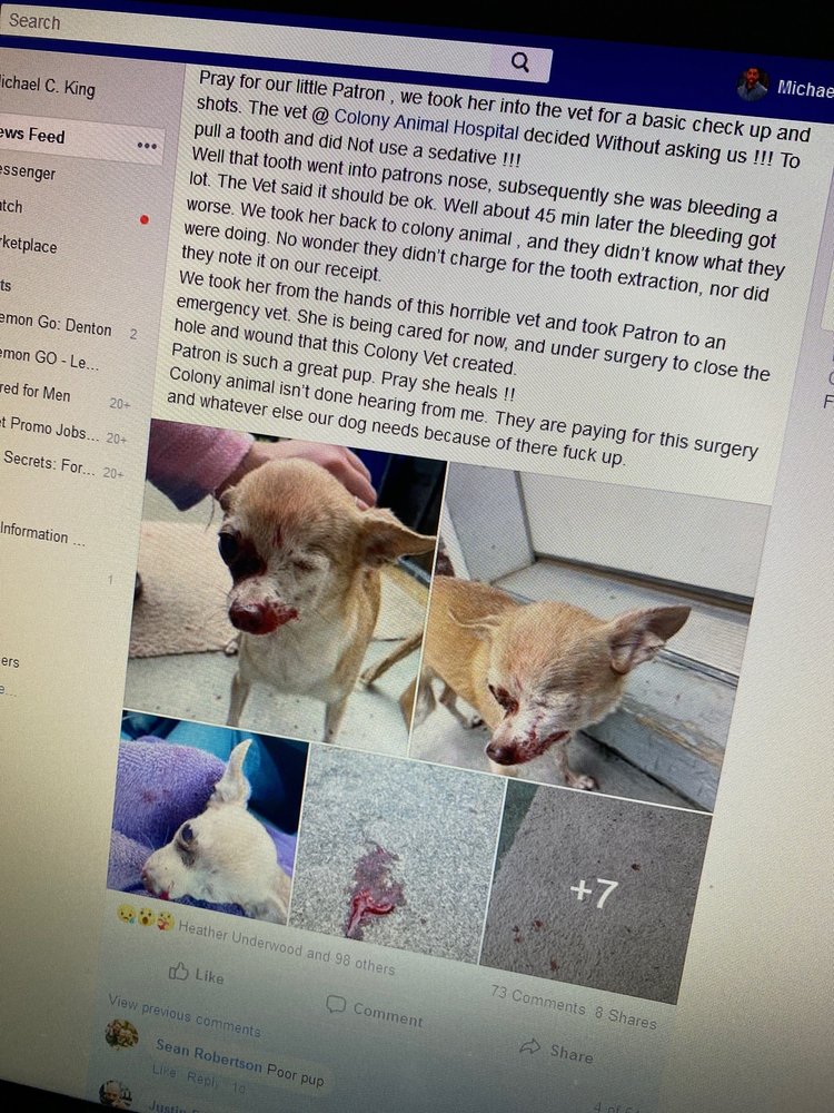 COLONY ANIMAL HOSPITAL Updated October 2024 2256 Papermill Rd, Winchester, Virginia