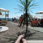Photo of Baia Domizia
