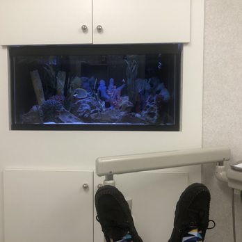Chace Horvat & Cohen - Relaxing fish to watch while dealing with the unpleasant task of having your mouth examined. - Dentists Near Me - Winter Park, Florida Chace Horvat & Cohen - Relaxing fish to watch while dealing with the unpleasant task of having your mouth examined. - Dentists Near Me - Winter Park, Florida