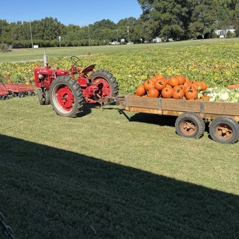 Bush-N-Vine Farm - Tractor and Pumpkins - Fruits & Veggies Near Me - York, South Carolina