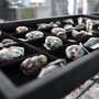 Photo of Beads At Dusti Creek