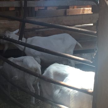 Lively Run Dairy - Cheese Shops Near Me - Interlaken, New York