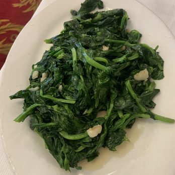 Arco Seafood Restaurant 東海海鮮酒家 - Snow peas leaves - Seafood Near Me - Houston, Texas Arco Seafood Restaurant 東海海鮮酒家 - Snow peas leaves - Seafood Near Me - Houston, Texas