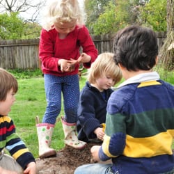 Juniper Tree PlaySchool