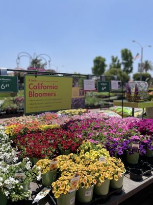 Armstrong Garden Centers, 635 W Huntington Dr, Monrovia, CA 91016