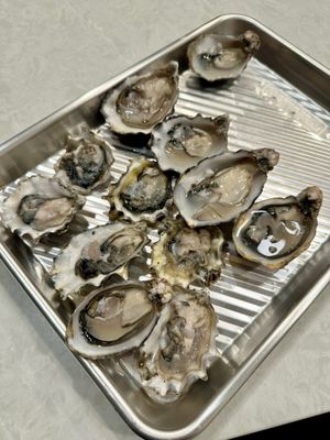 Wild Salmon Seafood Market by null