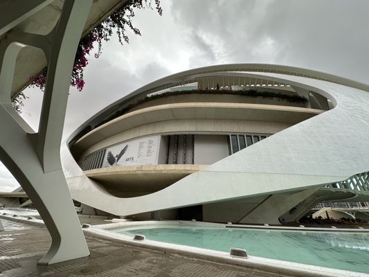 Queen Sofia Palace of Arts by null