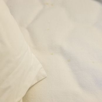 Quality Inn & Suites - Stain all on sheets - Hotels Near Me - Ruther Glen, Virginia