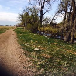 South Boulder Creek Trail