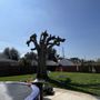 Photo of Arevalo Tree Service and Landscape