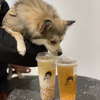 Dont Yell At Me - Osmanthus Jasmine Milk Tea & Osmanthus Oolong Tea & @koda.bear.pomsky - Bubble Tea Near Me - Seattle, Washington
