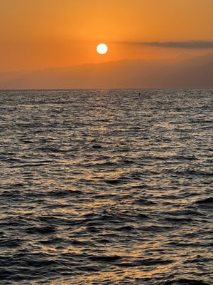 Santa Monica Pier by null