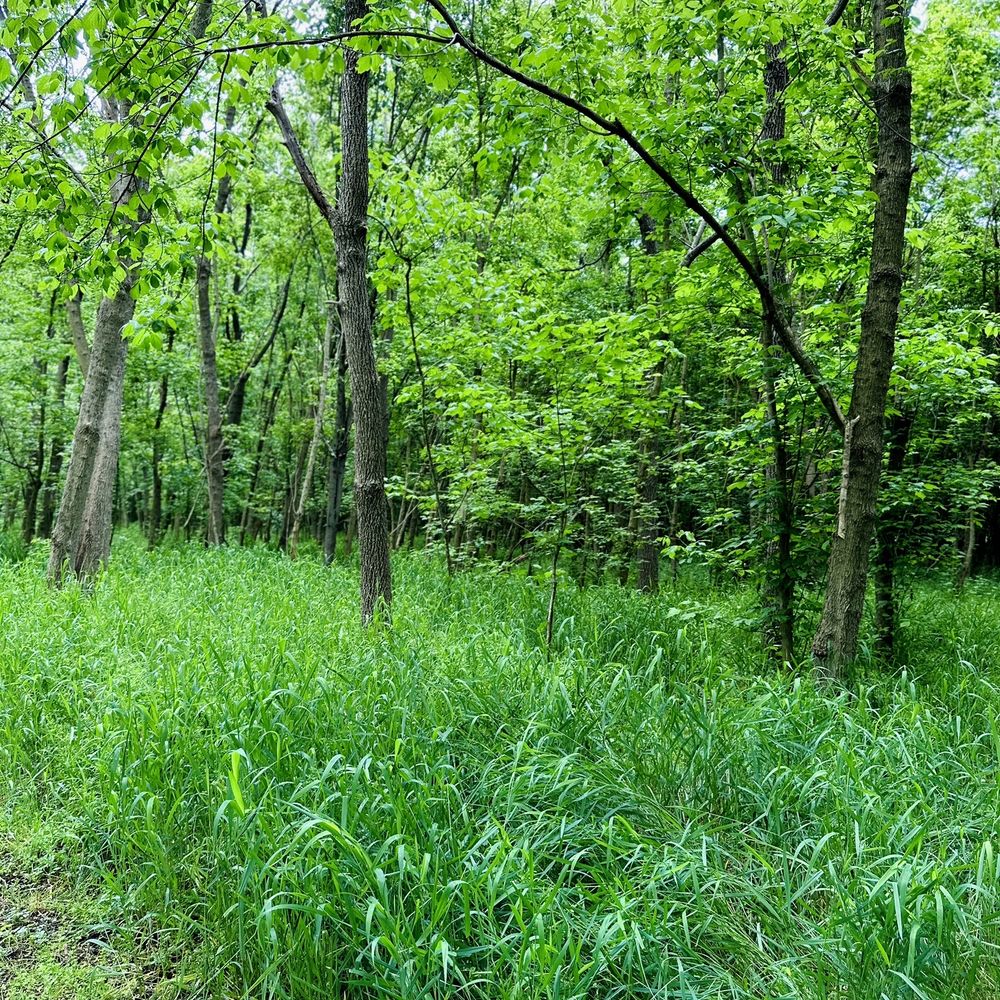 Bles Park - Parks Near Me - Ashburn, Virginia Bles Park - Parks Near Me - Ashburn, Virginia