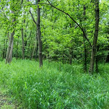 Bles Park - Parks Near Me - Ashburn, Virginia