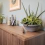 Photo of Lumin Health