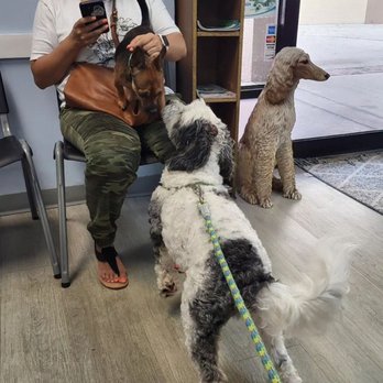 Kindness Animal Clinic - The waiting room. - Veterinarians Near Me - Bradenton, Florida Kindness Animal Clinic - The waiting room. - Veterinarians Near Me - Bradenton, Florida