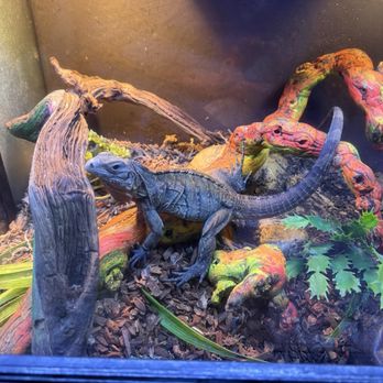 Polly's Pet Shop - Pet Stores Near Me - Universal City, Texas