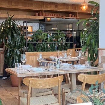 Terra - I'm love that they have so many plants. - Italian Near Me - Dallas, Texas Terra - I'm love that they have so many plants. - Italian Near Me - Dallas, Texas