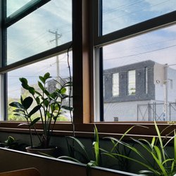 Container Brewing - Nice foliage