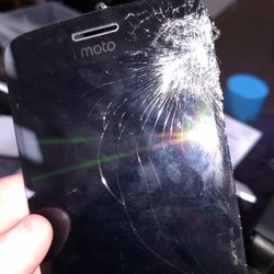 406 Cellular and Repair - My poo