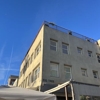 Fig Tree - Cafes Near Me - Los Angeles, California Fig Tree - Cafes Near Me - Los Angeles, California
