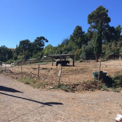 Poney Club Orloff III