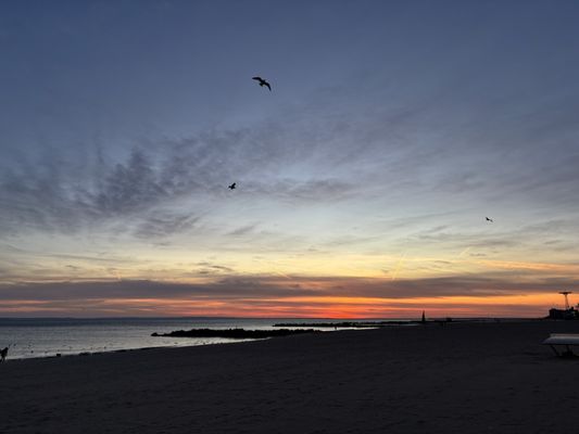 Brighton Beach by null