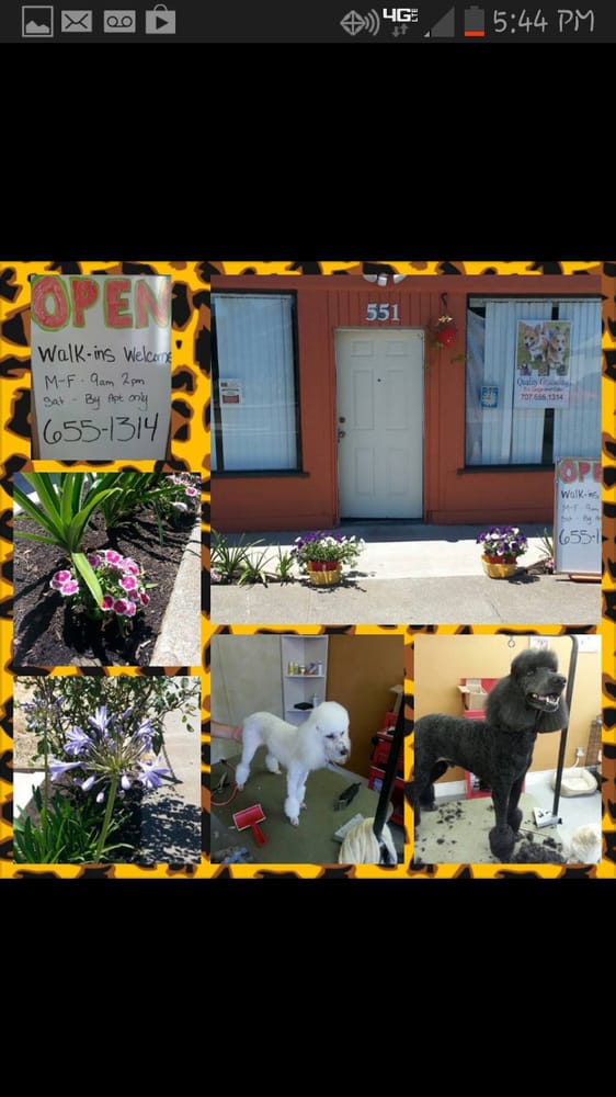 A QUALITY GROOMING Updated May 2024 61 Photos & 53 Reviews 2144