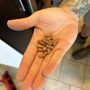 Keep Animals Out - RatX pellets - Wildlife Control Near Me Keep Animals Out - RatX pellets - Wildlife Control Near Me