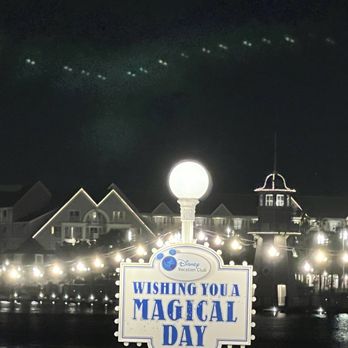 Flying Fish - Seafood Near Me - Orlando, Florida